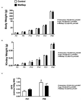 Corrigendum: Intrarenal Renin Angiotensin System Imbalance During Postnatal Life Is Associated With Increased Microvascular Density in the Mature Kidney